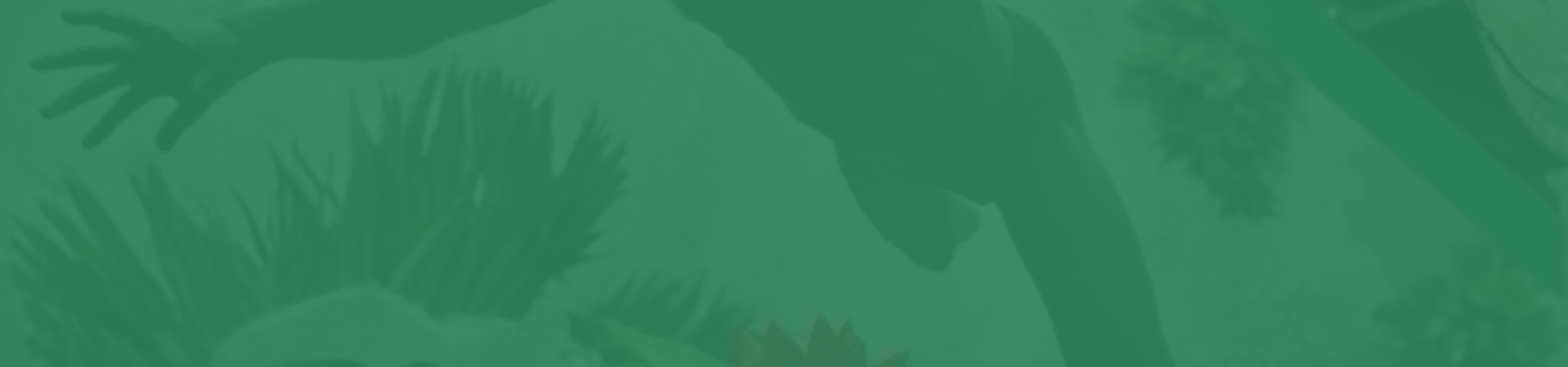 2026-2-25-BT-Website-Teaser-Bitte-Text-eingeben-h