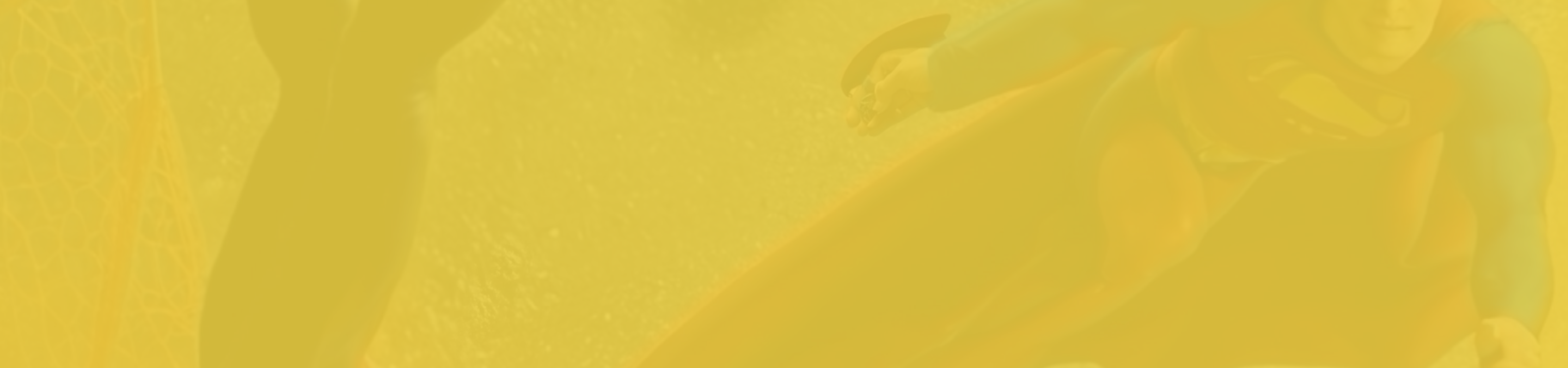 2026-2-25-BT-Website-Teaser-Hollywood-an-der-Havel-6-SOKO-h