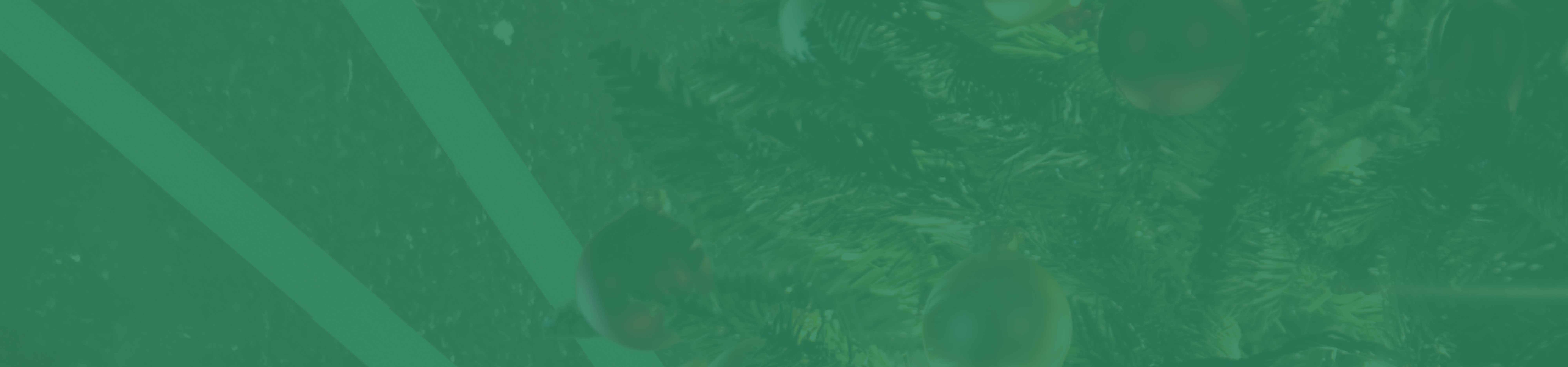 brandenburger-theater-teaser-bt-weihnachtsrevue-h