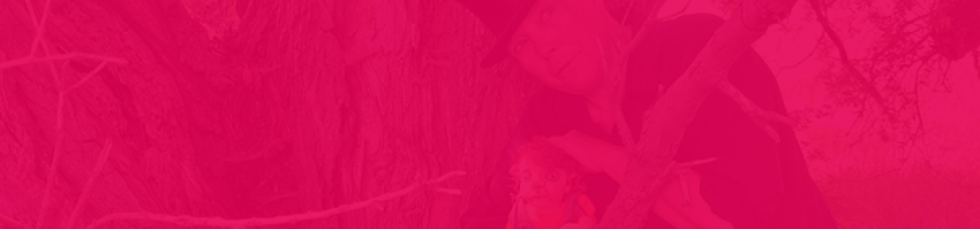 brandenburger-theater-teaser-zwei-raeuber-haben-schwein-h